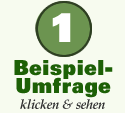 Beispiel-Umfrage 1