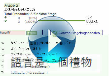 Auswerten nach Sprachversionen